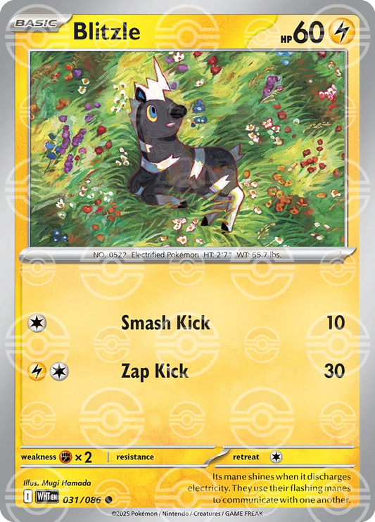 Blitzle (Poke Ball Pattern) - SV: White Flare (WHT)